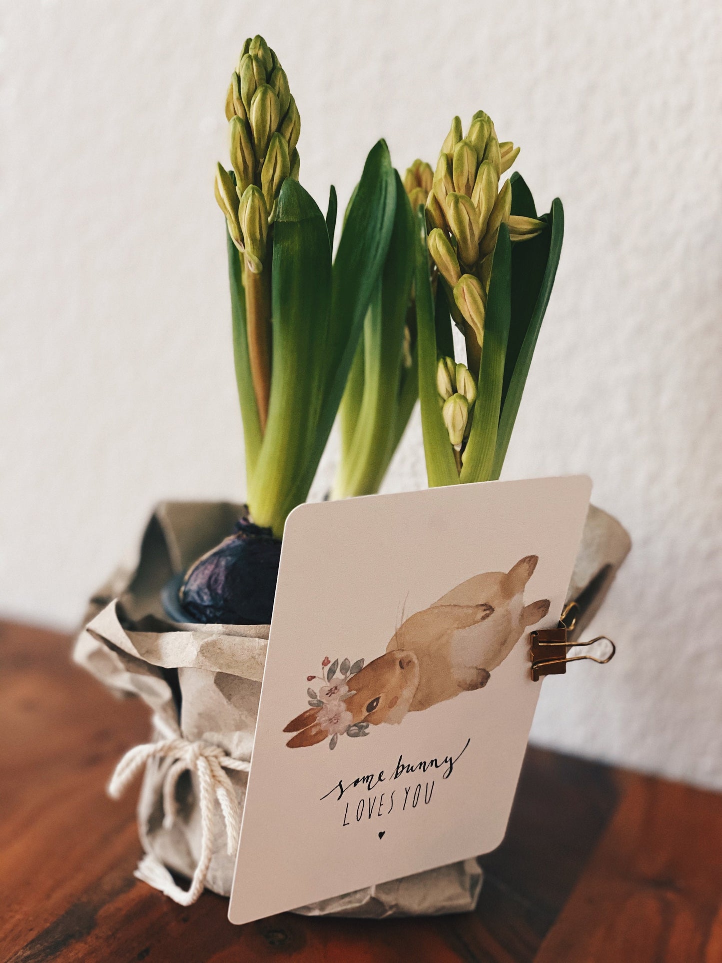 Postkarte Ostern Hase Some Bunny loves you